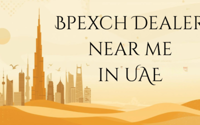 Bpexch Dealer near me in UAE